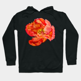 Flaming Orange & Yellow Parrot Tulip Digital Art Hoodie